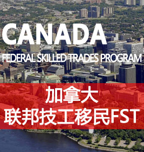 联邦技工移民（FST）